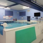 Chicago Blue Dolphins Swim Studio